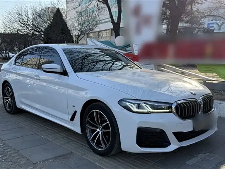 BMW 5 Series (Import) 2021 из CN, фото 10