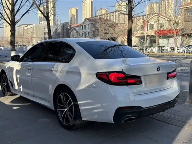 BMW 5 Series (Import) 2021 из CN, фото 6