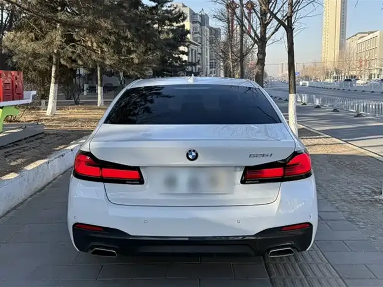 BMW 5 Series (Import) 2021 из CN, фото 5