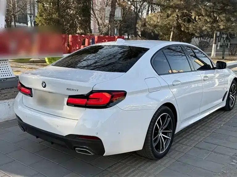 BMW 5 Series (Import) 2021 из CN, фото 9