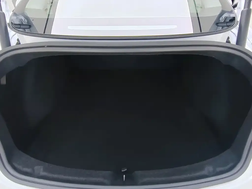 Tesla Model 3 — фото 5
