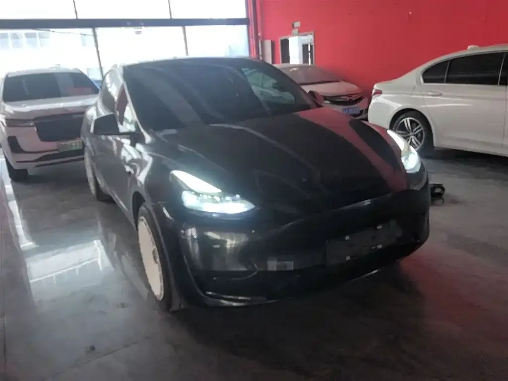 Tesla Model Y 2023 из CN, фото 4