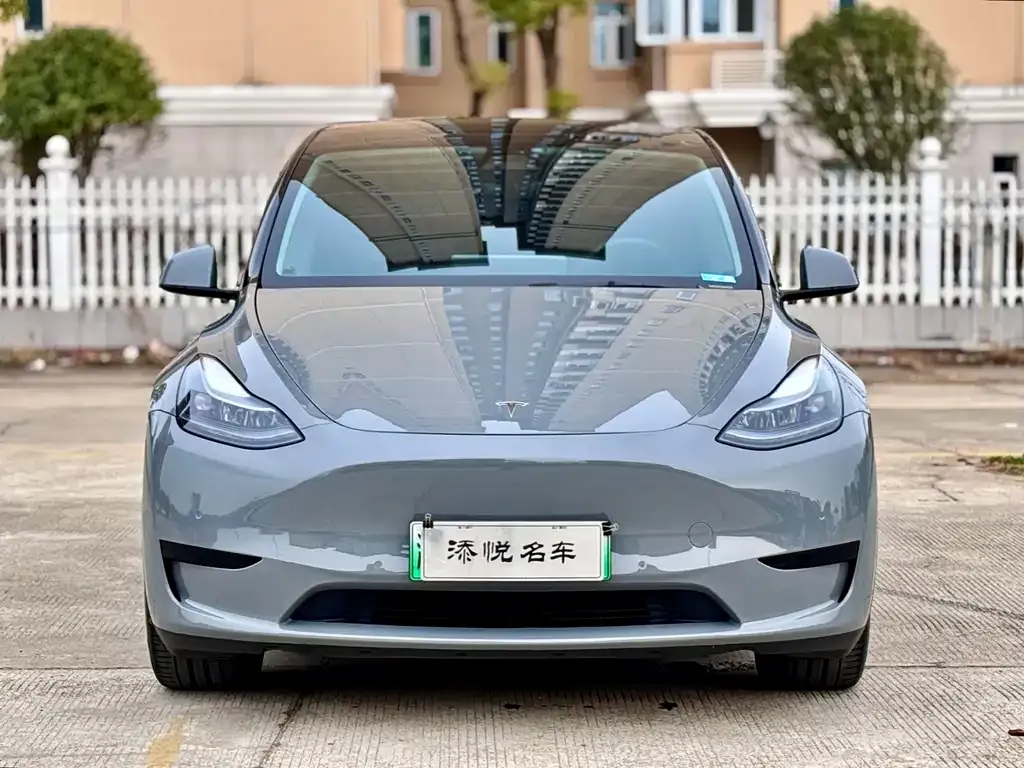 Tesla Model Y 2022 из CN, фото 1