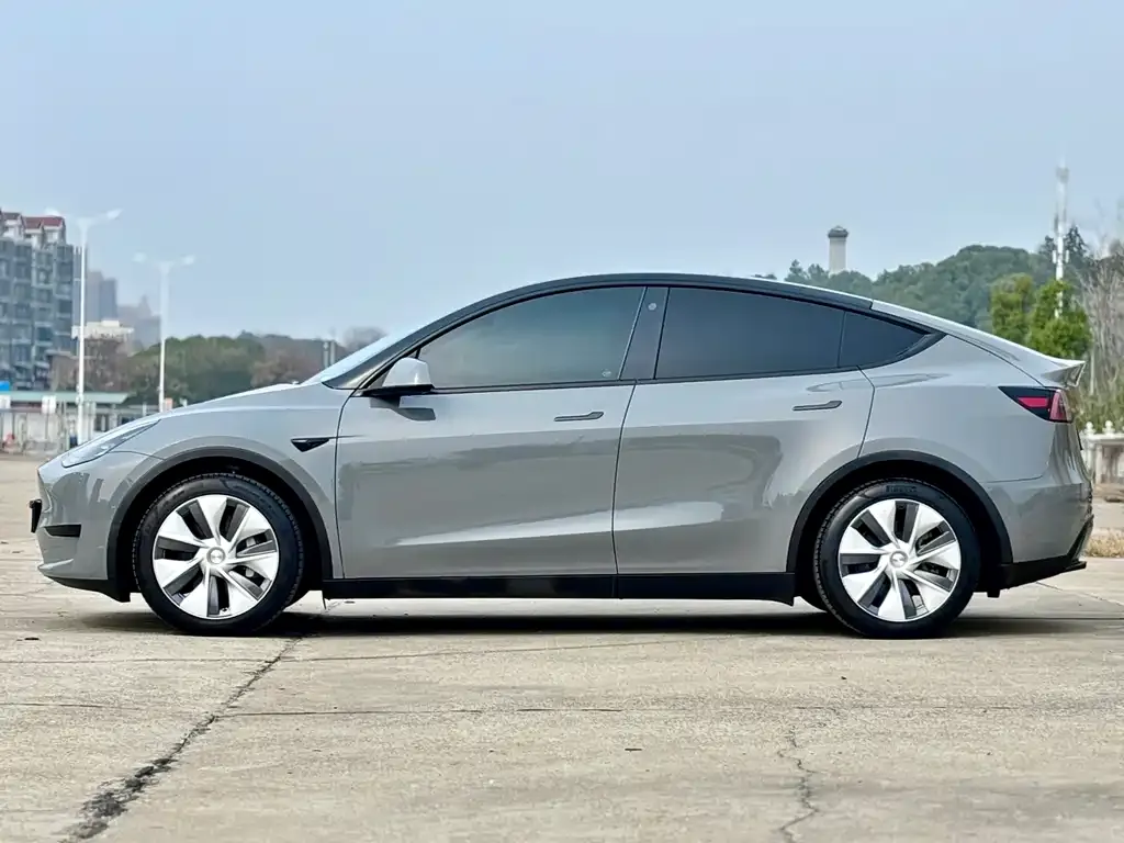 Tesla Model Y 2022 из CN, фото 9