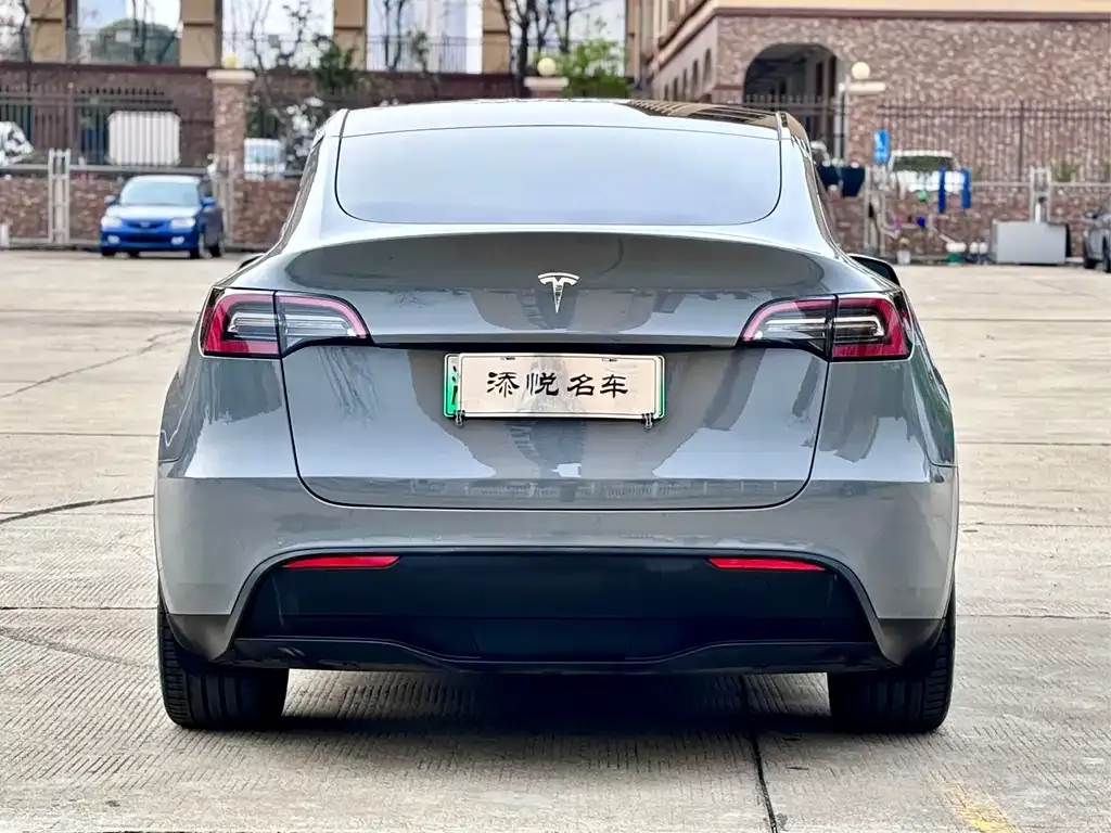 Tesla Model Y 2022 из CN, фото 6