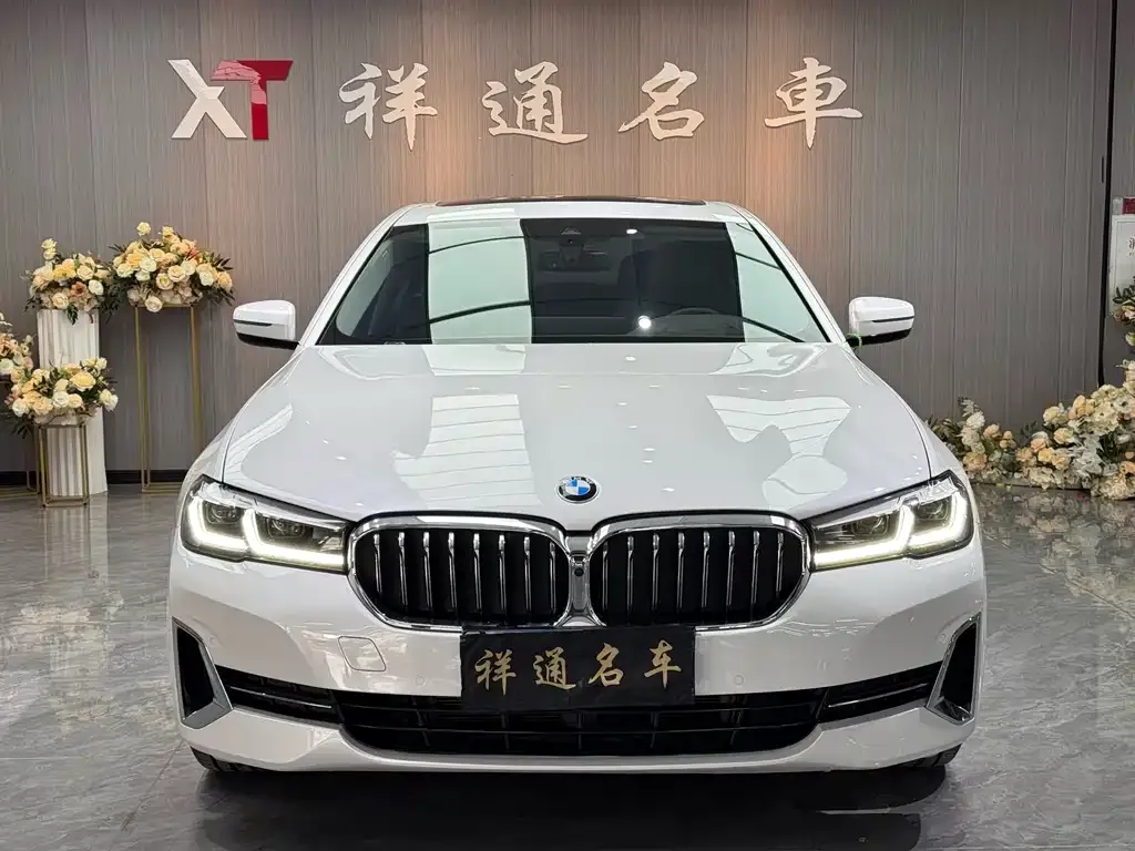 BMW 5 Series 2024 из CN, фото 9