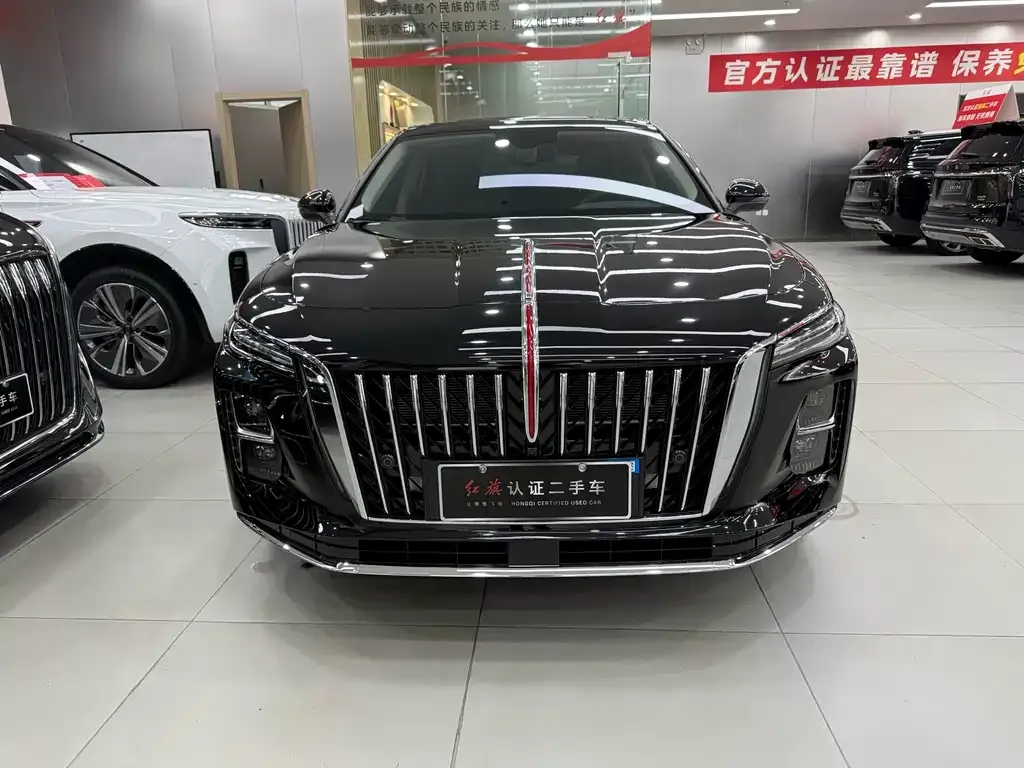 Hongqi H5 PHEV 2025 из CN, фото 10