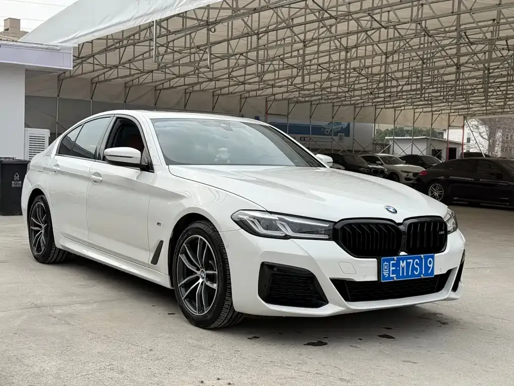 BMW 5 Series (Import) 2022 из CN, фото 8