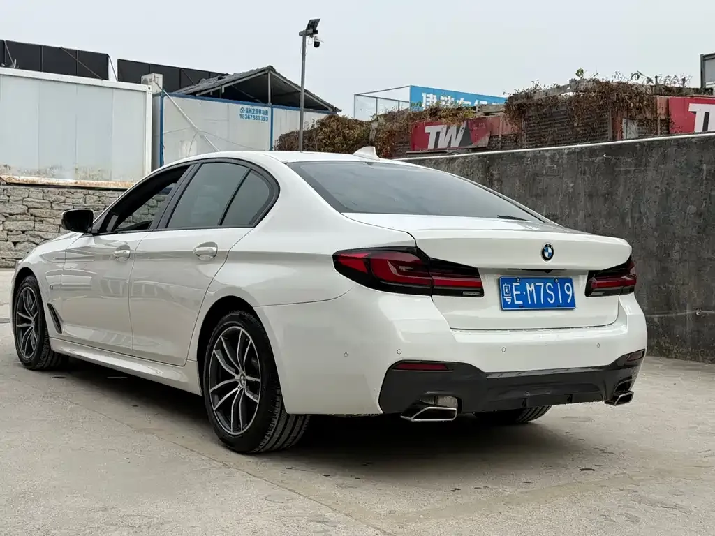 BMW 5 Series (Import) 2022 из CN, фото 7
