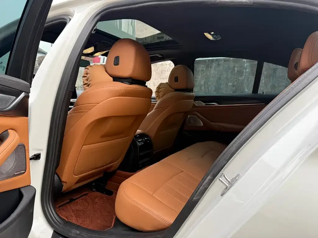BMW 5 Series (Import) 2022 из CN, фото 6