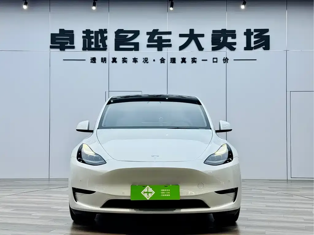 Tesla Model Y 2022 из CN, фото 6