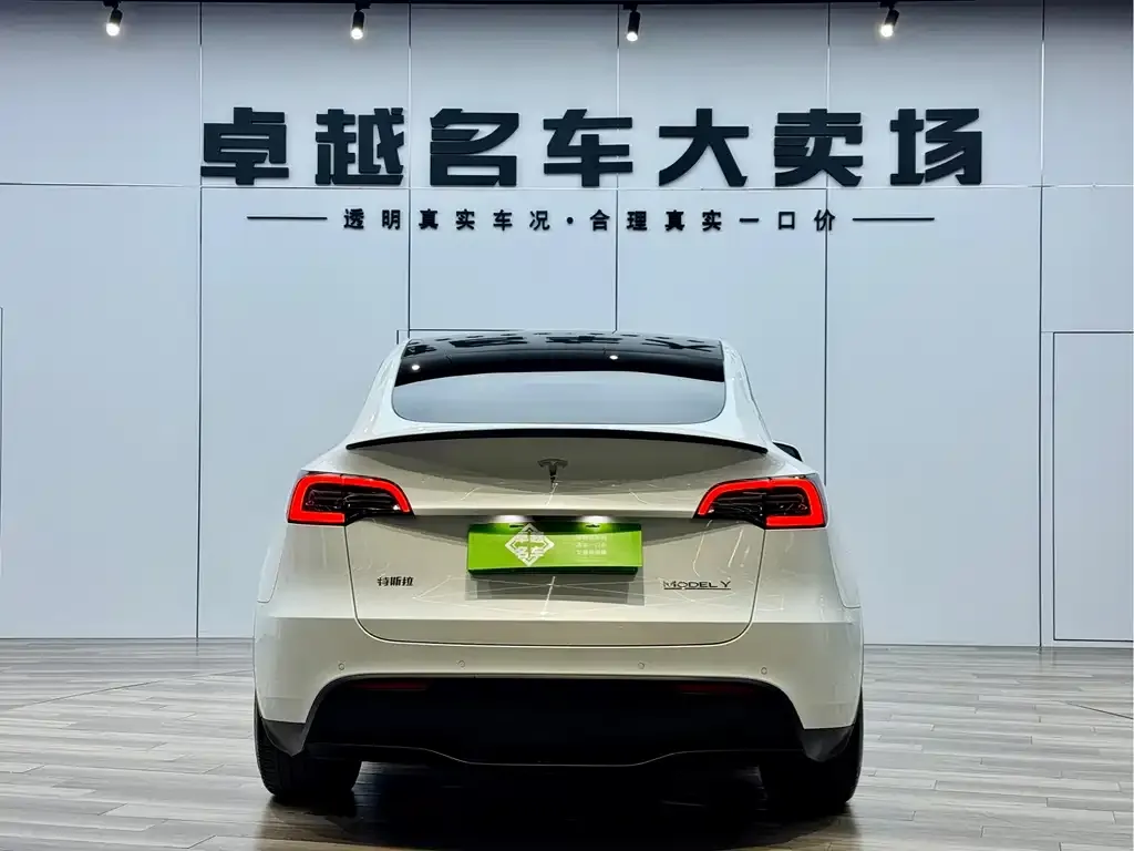 Tesla Model Y 2022 из CN, фото 3