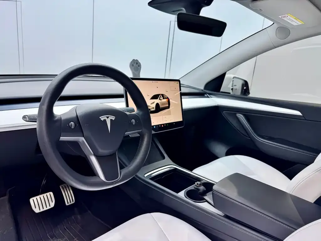 Tesla Model Y 2022 из CN, фото 7