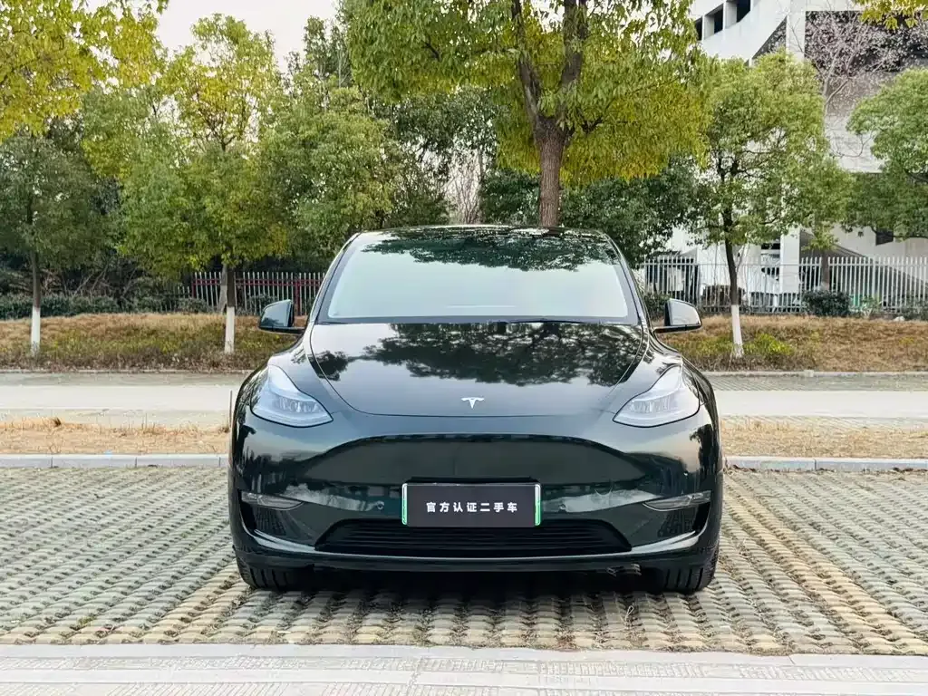 Tesla Model Y 2022 из CN, фото 5