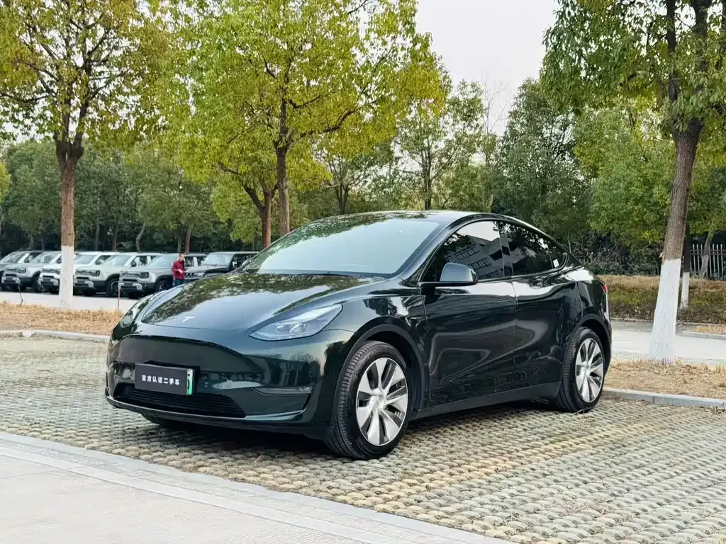 Tesla Model Y 2022 из CN, фото 9
