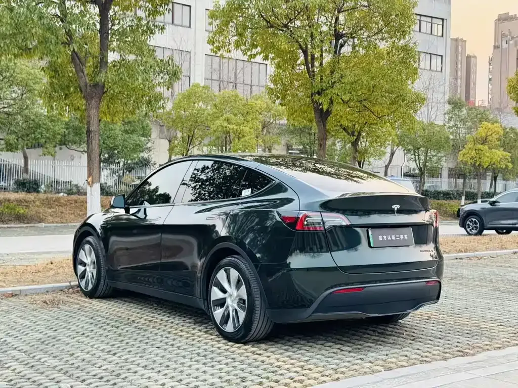 Tesla Model Y 2022 из CN, фото 7