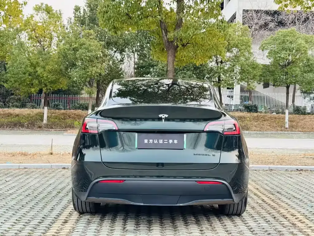 Tesla Model Y 2022 из CN, фото 6