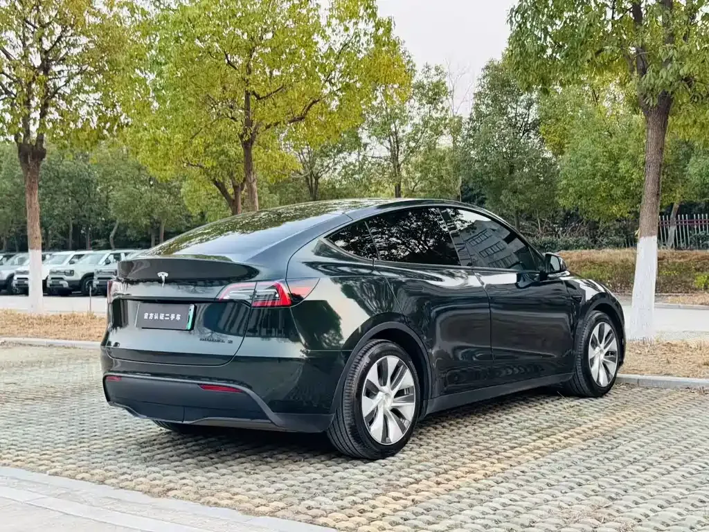 Tesla Model Y 2022 из CN, фото 8