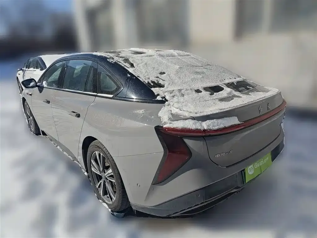 Hongqi EH7 2024 из CN, фото 10