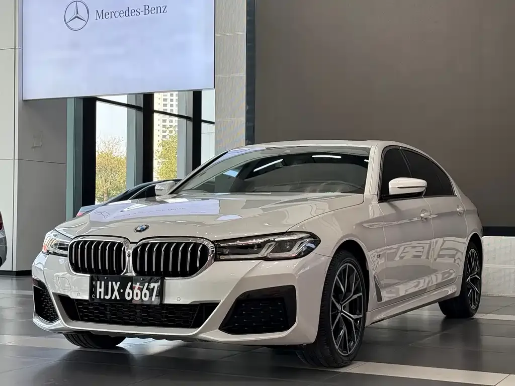 BMW 5 Series 2021 из CN, фото 1