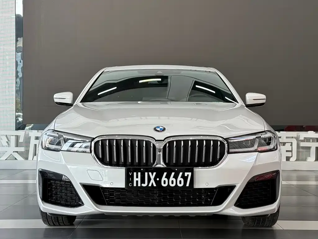 BMW 5 Series 2021 из CN, фото 7