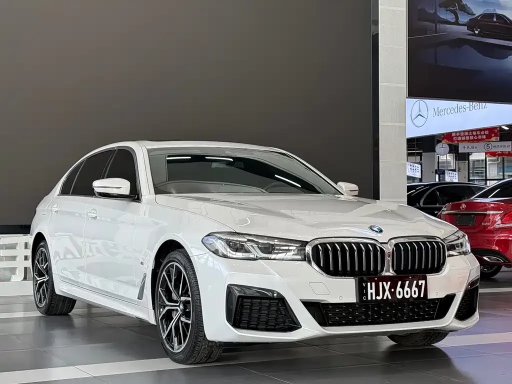 BMW 5 Series 2021 из CN, фото 9