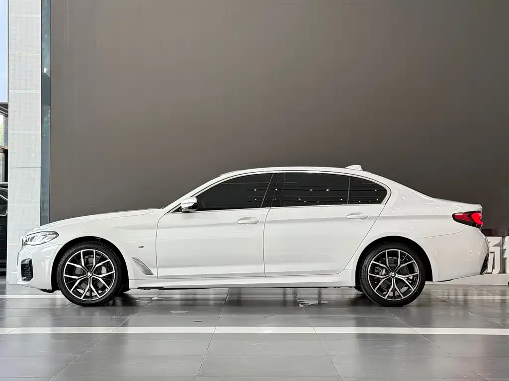 BMW 5 Series 2021 из CN, фото 6