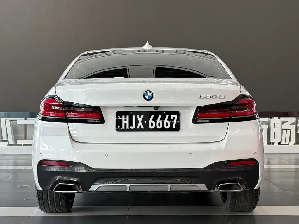 BMW 5 Series 2021 из CN, фото 3