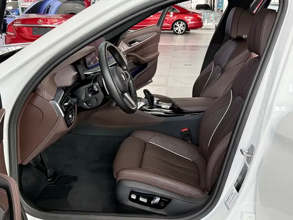 BMW 5 Series 2021 из CN, фото 8