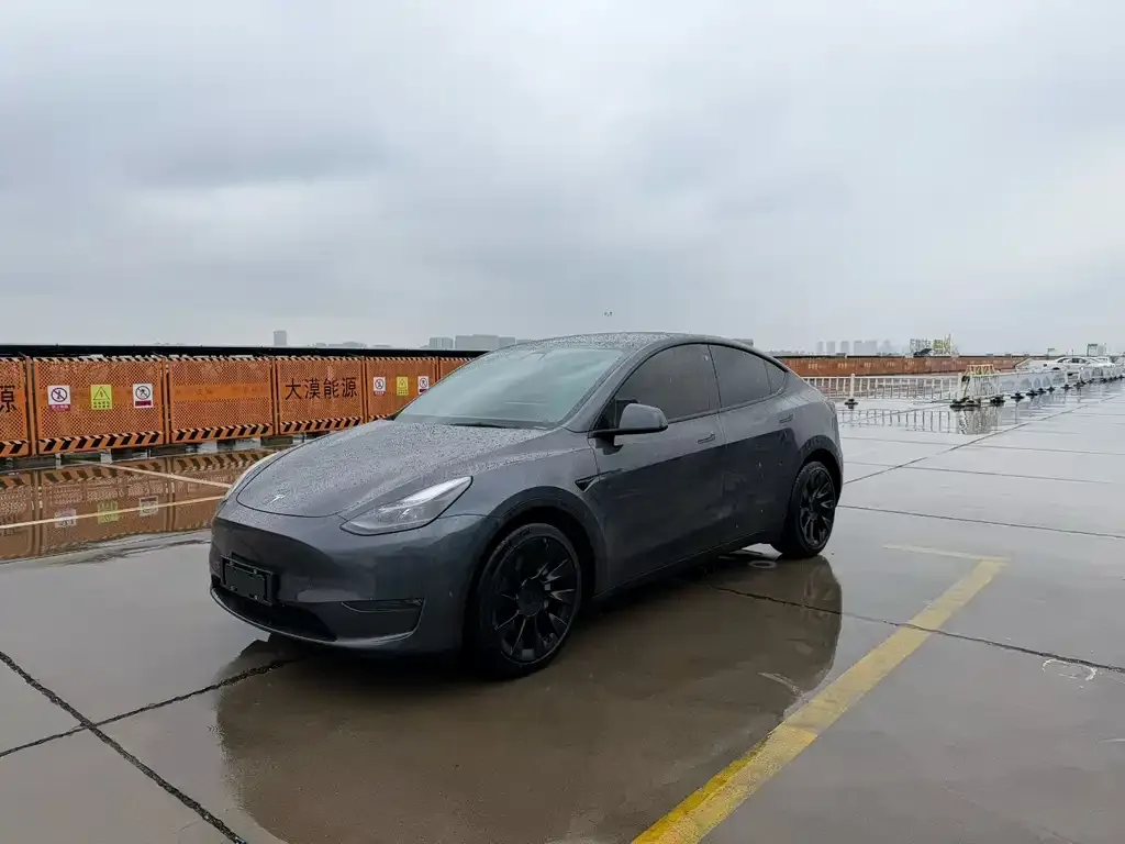 Tesla Model Y — фото 1