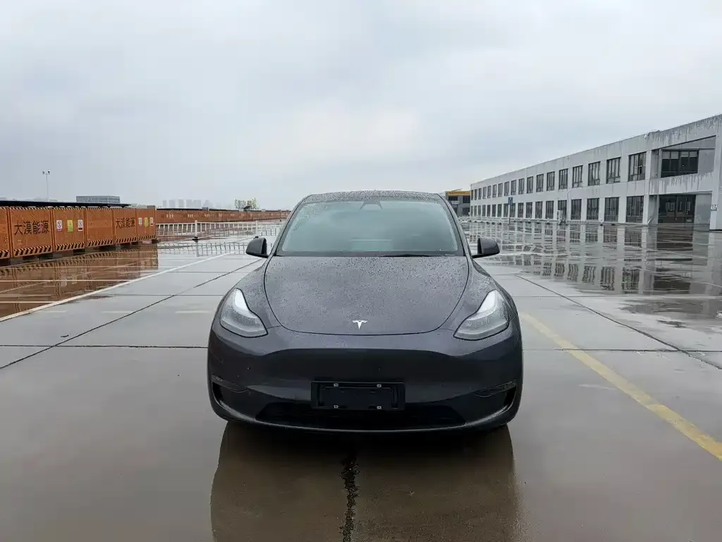 Tesla Model Y — фото 6