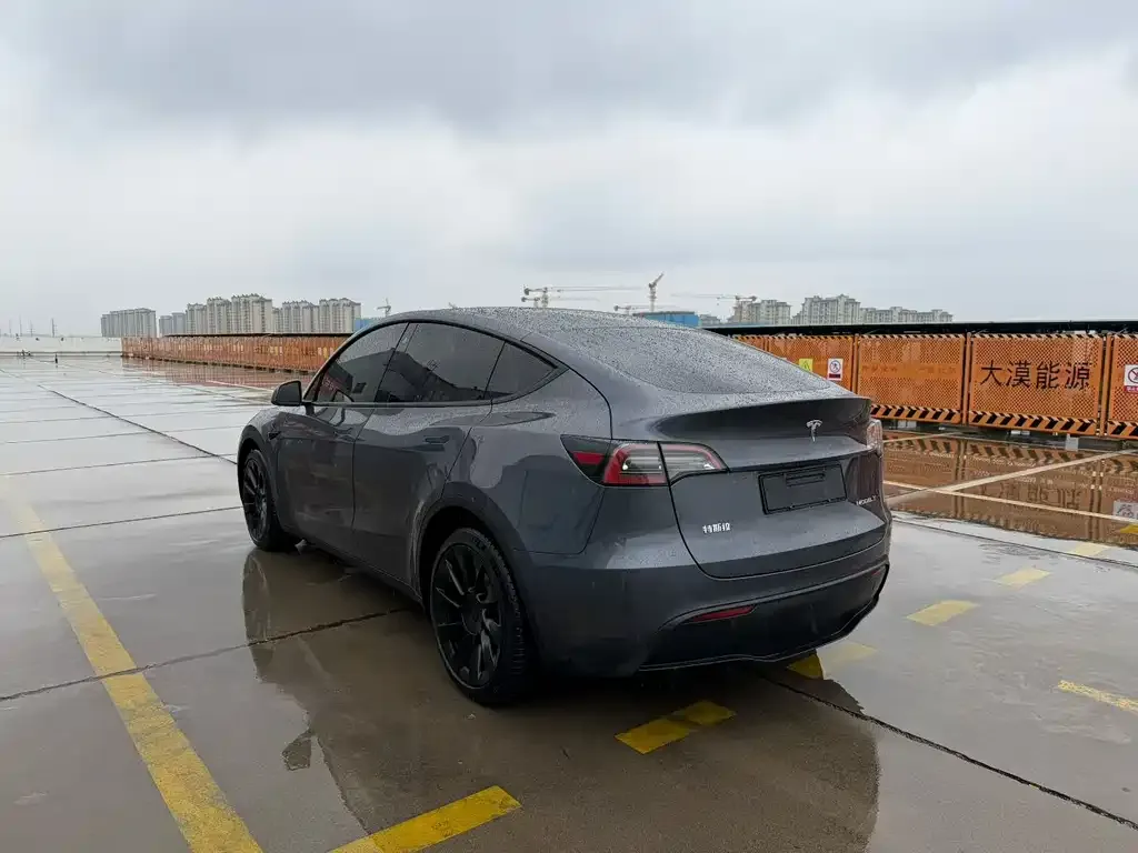 Tesla Model Y — фото 4