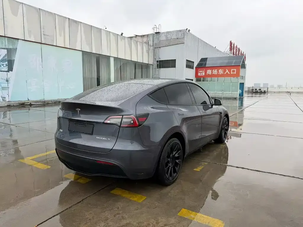 Tesla Model Y — фото 3