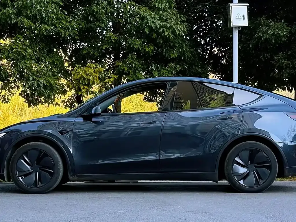 Tesla Model Y — фото 6