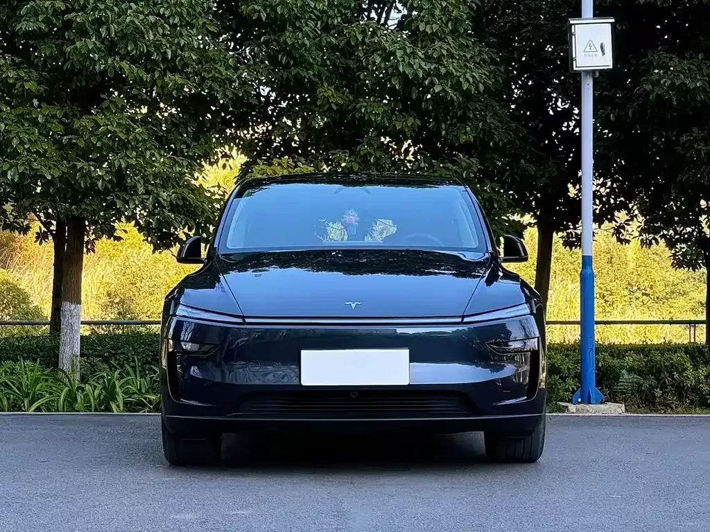 Tesla Model Y — фото 9