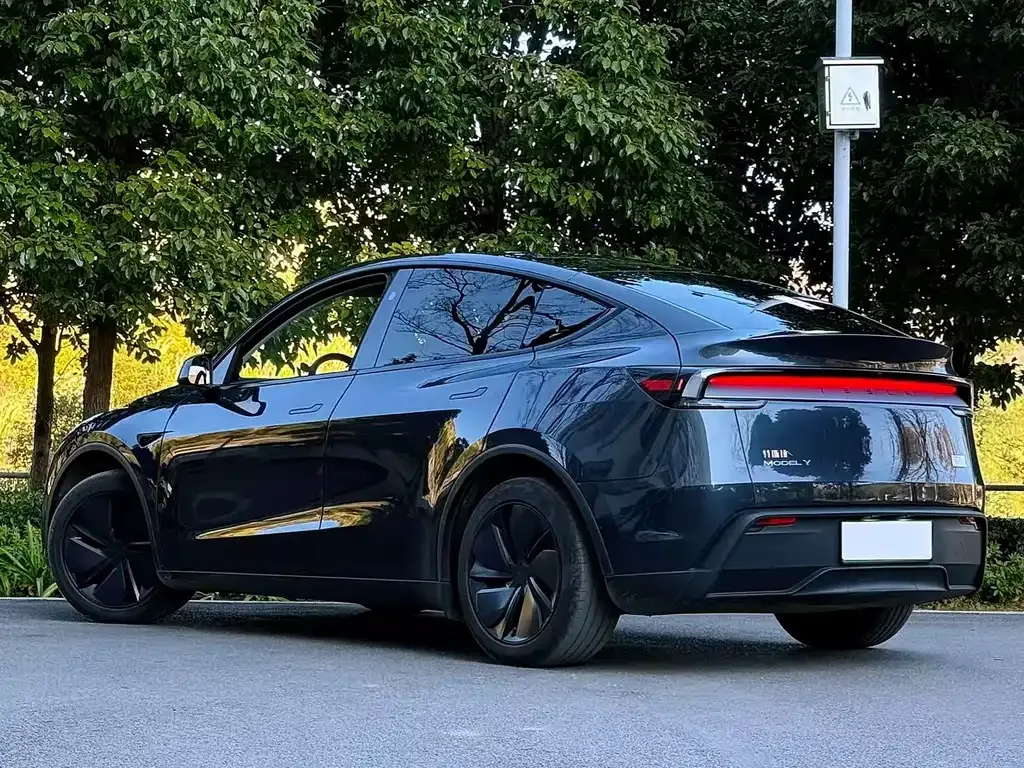 Tesla Model Y — фото 5