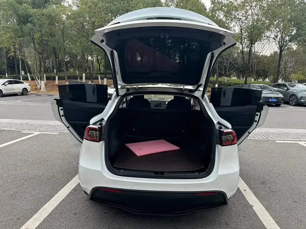 Tesla Model Y — фото 8