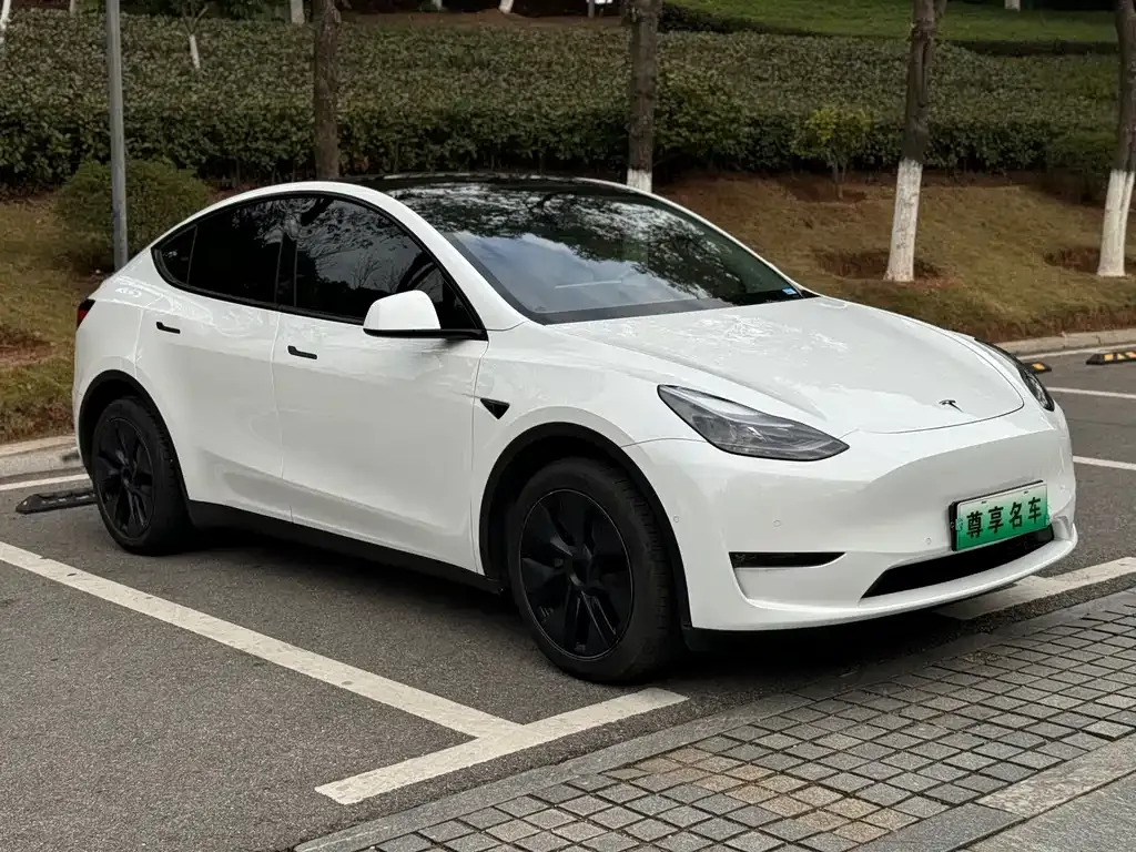 Tesla Model Y — фото 2