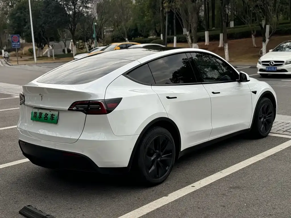 Tesla Model Y — фото 3