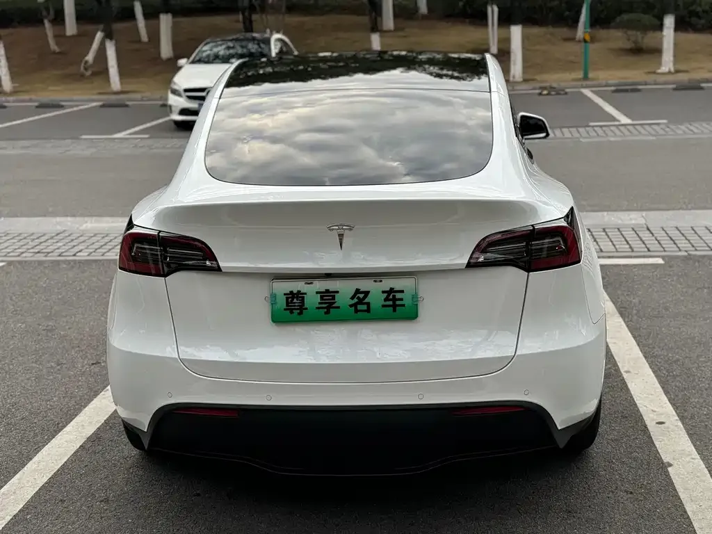 Tesla Model Y — фото 5