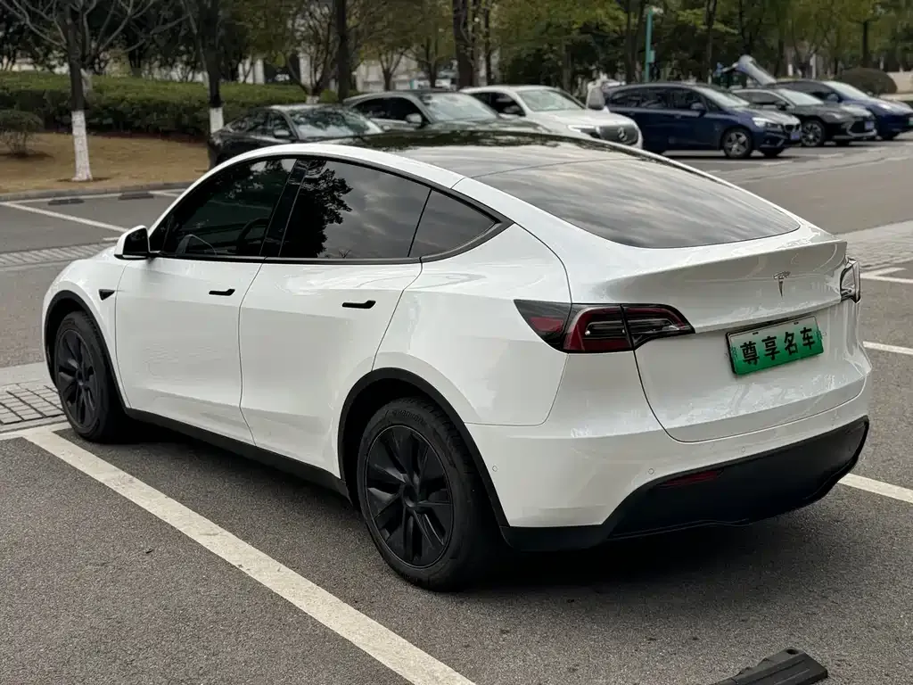 Tesla Model Y — фото 10