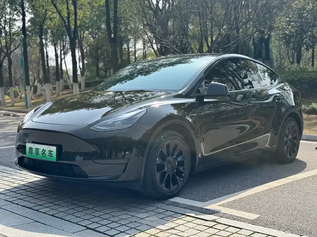 Tesla Model Y 2022 из CN, фото 1