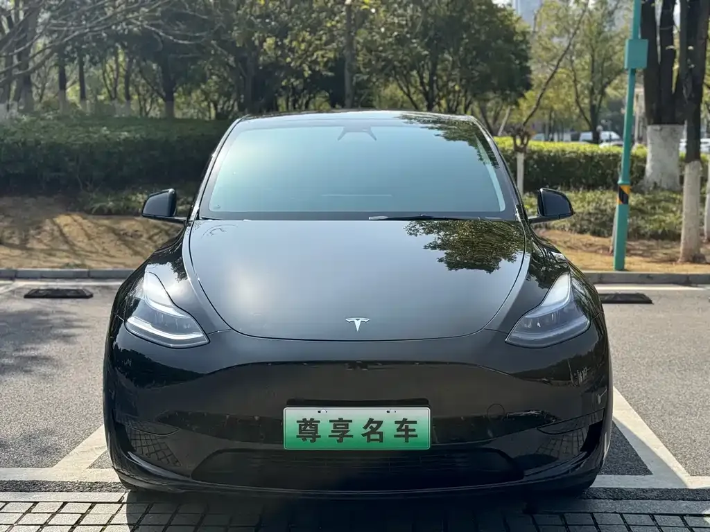 Tesla Model Y 2022 из CN, фото 4
