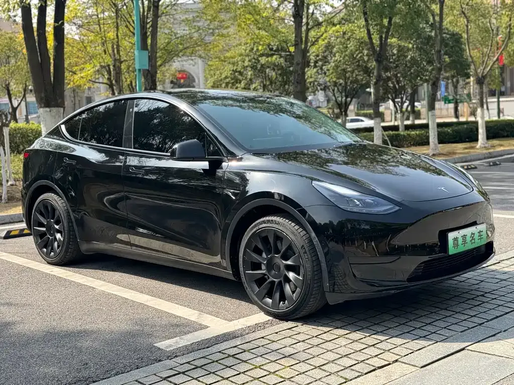 Tesla Model Y 2022 из CN, фото 8