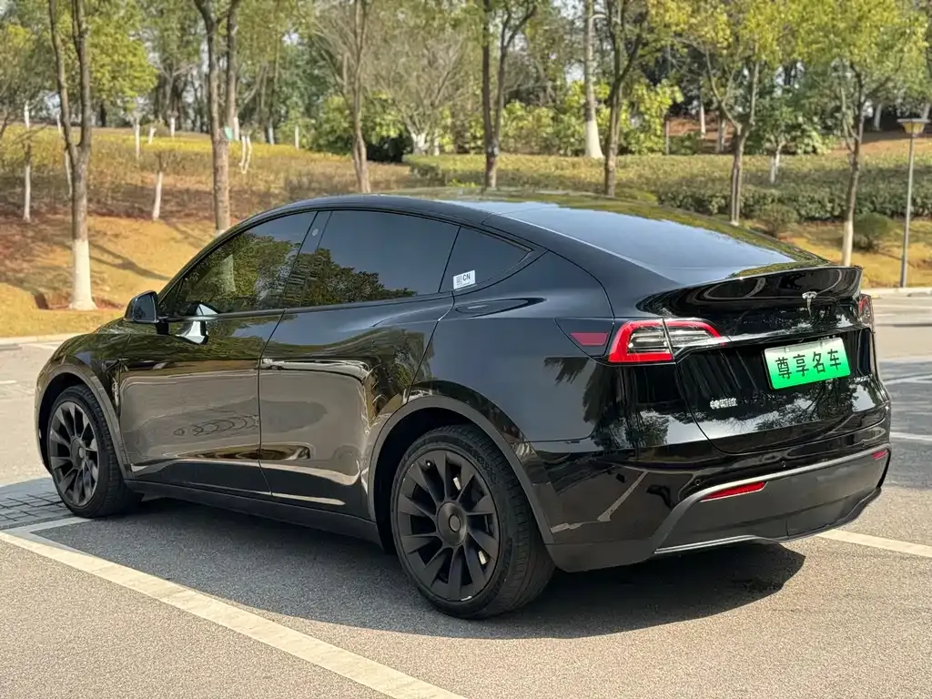 Tesla Model Y 2022 из CN, фото 5