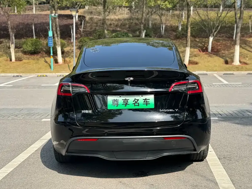 Tesla Model Y 2022 из CN, фото 6
