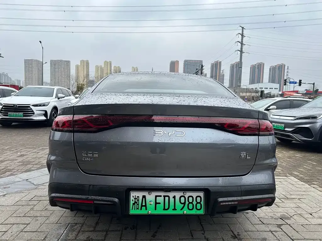BYD Qin L 2024 из CN, фото 2