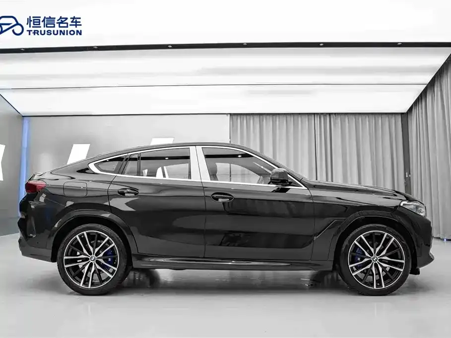 BMW X6 — фото 6