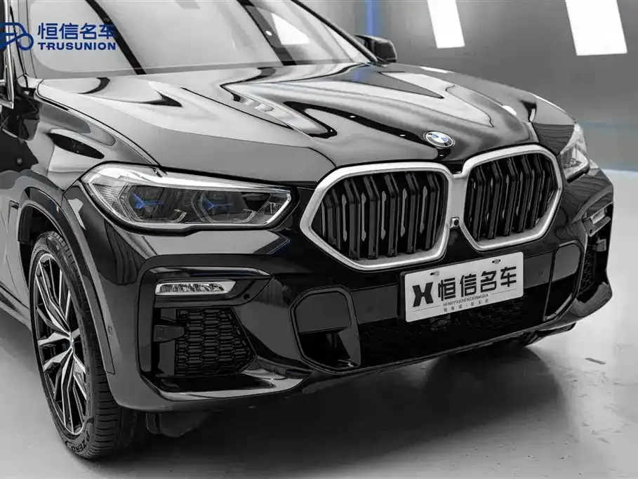 BMW X6 — фото 10