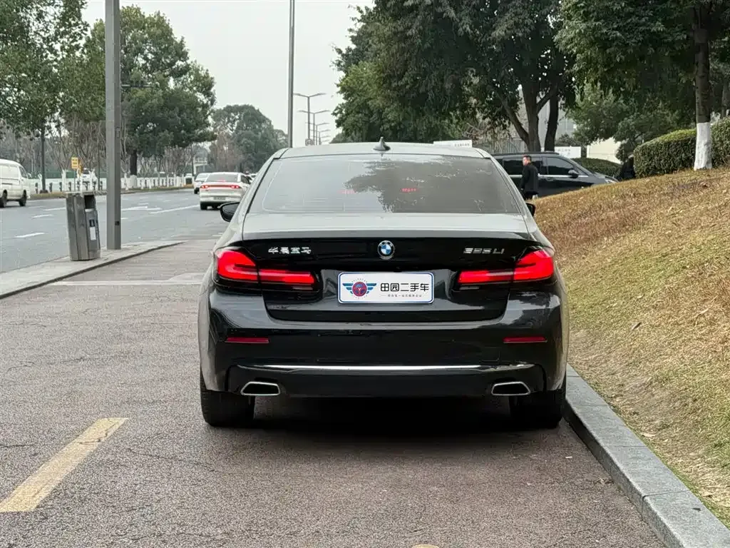 BMW 5 Series 2024 из CN, фото 5